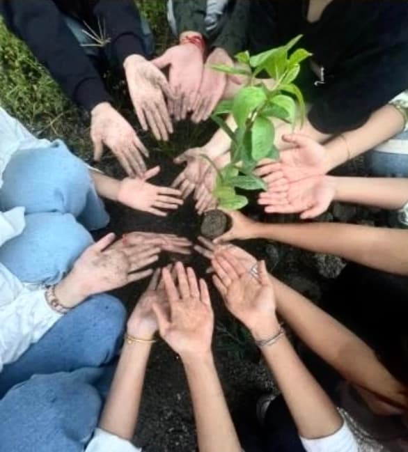 Tree Plantation Drive